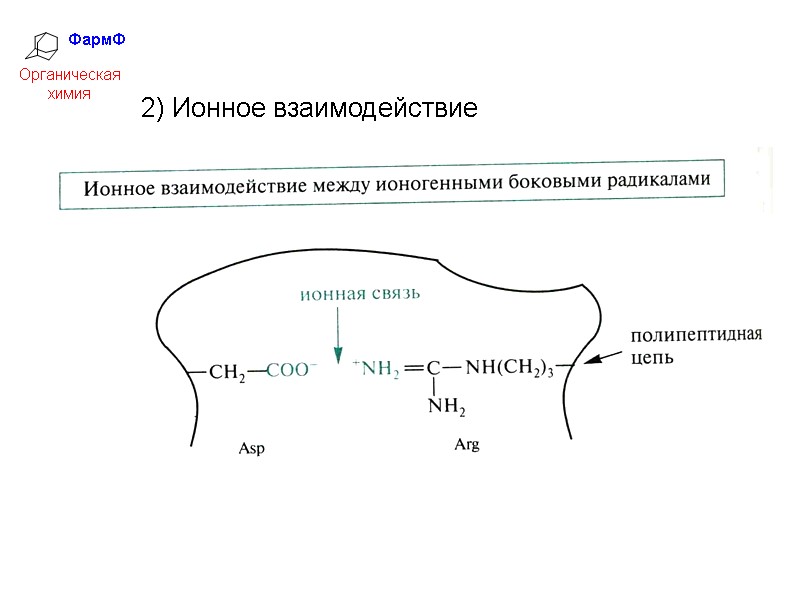 ФармФ  Органическая химия 2) Ионное взаимодействие